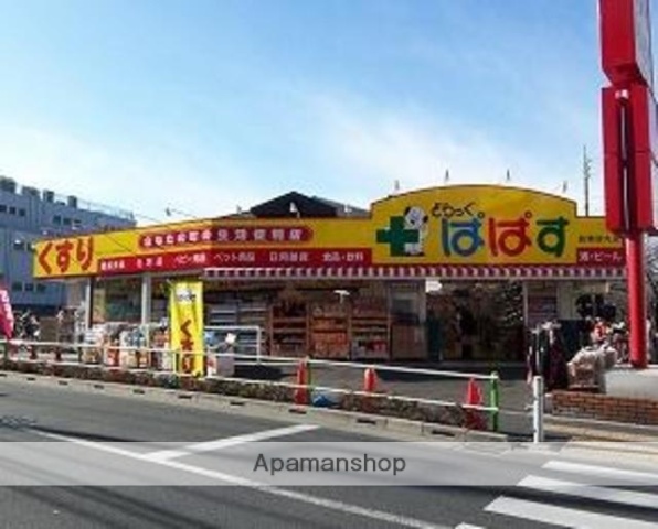 ドラックストア　どらっぐぱぱす板橋清水町店（ドラッグストア）まで336m