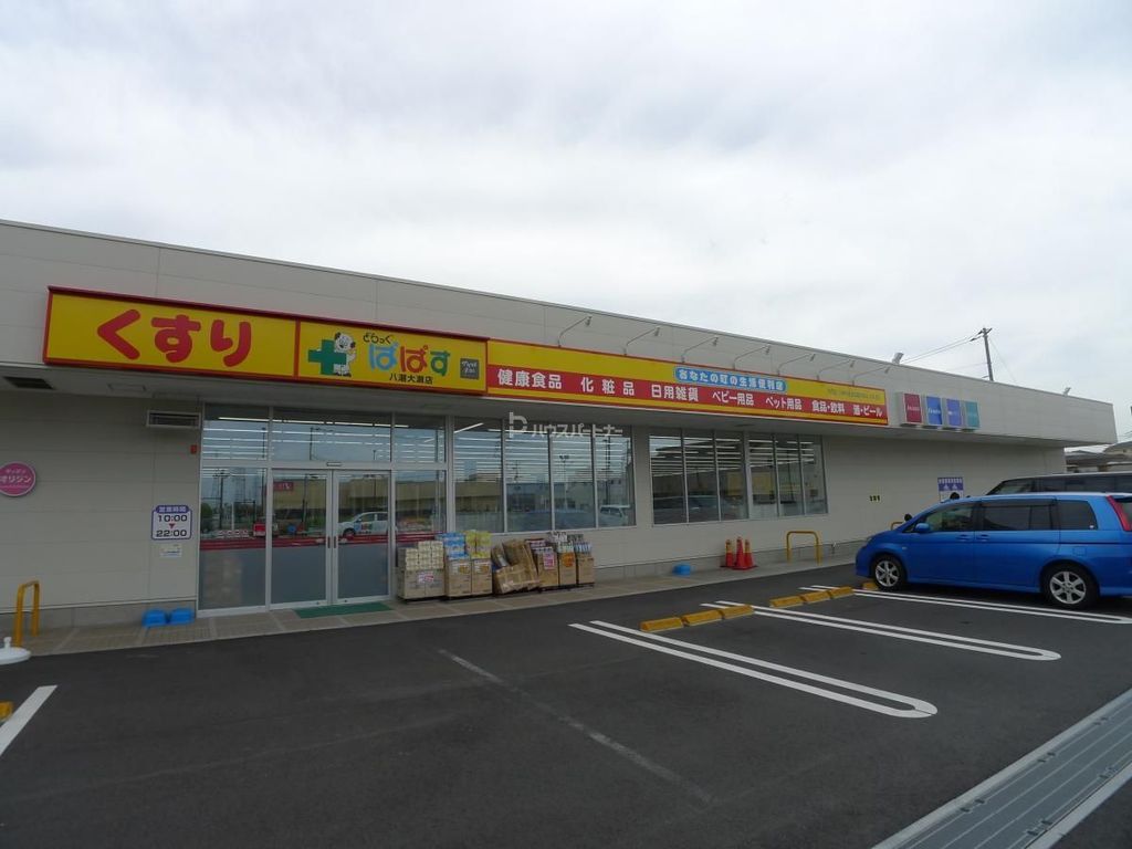 ドラックストア　どらっぐぱぱす八潮大瀬店（ドラッグストア）まで740m