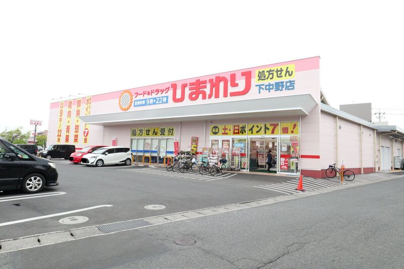 ドラックストア　スーパードラッグひまわり　下中野店（ドラッグストア）まで437m