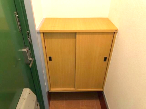 玄関　※別部屋参考写真