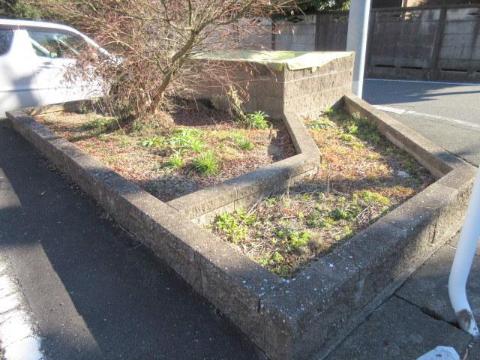 庭　庭（イメージ）