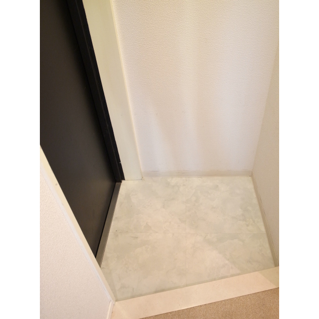 玄関　※写真は他のお部屋のものです。