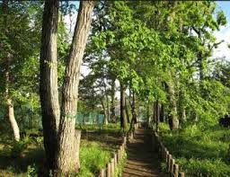 公園　関町北四丁目緑地（公園）まで498m