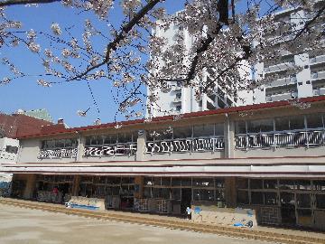 幼稚園・保育園　常盤幼稚園（幼稚園・保育園）まで1535m