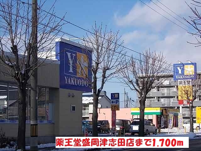 ドラックストア　薬王堂盛岡津志田店（ドラッグストア）まで1700m