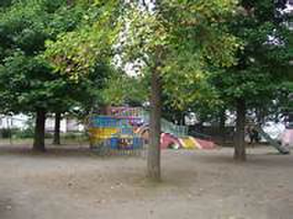 公園　柏葉公園（公園）まで505m