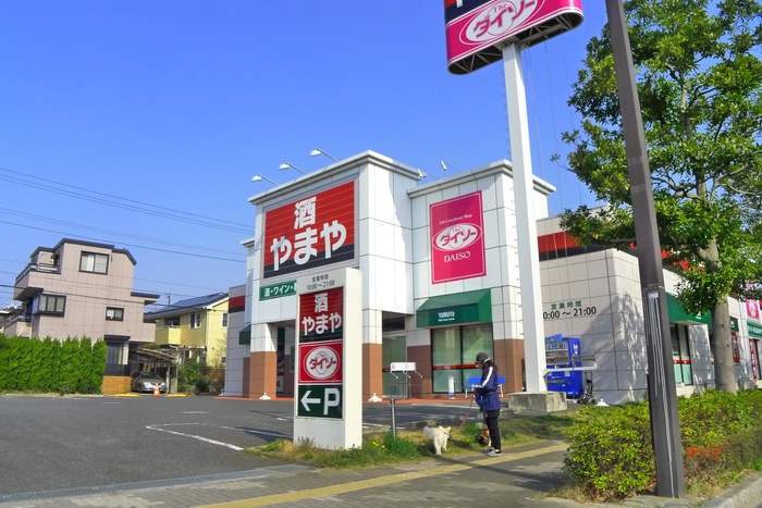 その他　ダイソー（その他）まで650m