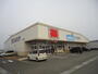 ドラックストア　ウエルシア島田井口店（ドラッグストア）まで781m