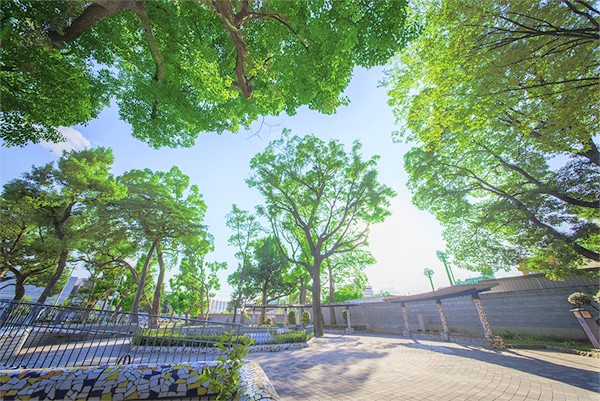 公園　十三公園（公園）まで230m