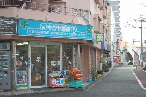 ドラックストア　キクヤ薬品（ドラッグストア）まで750m