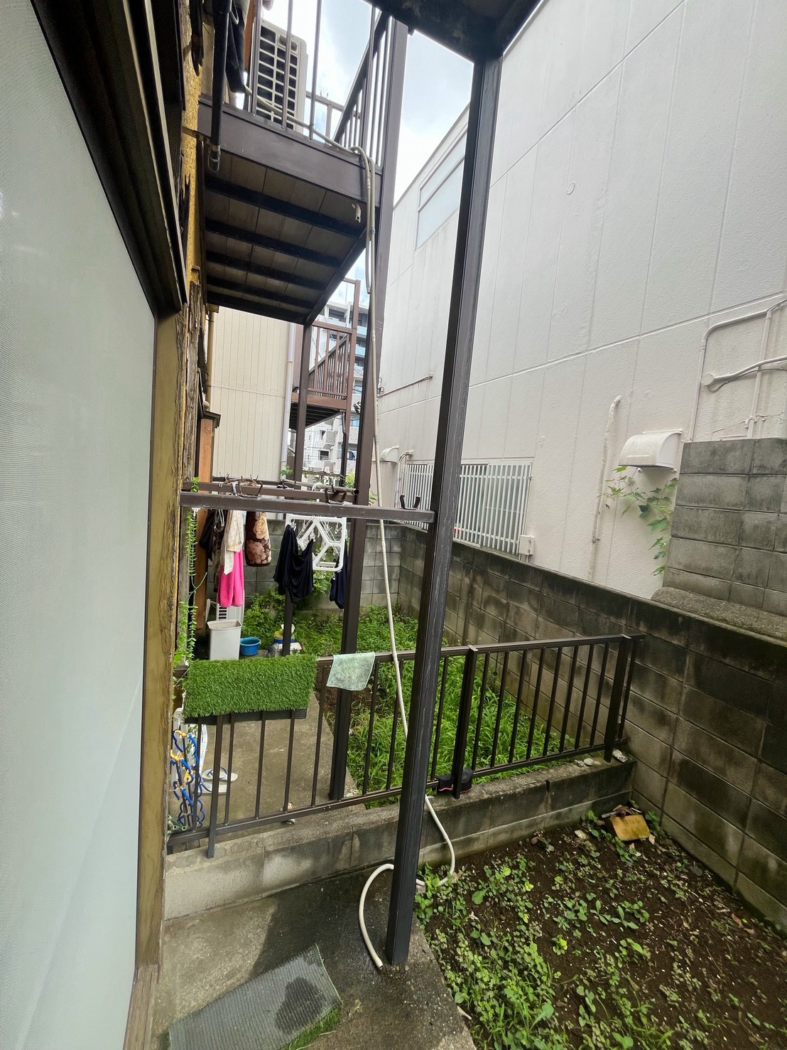 庭