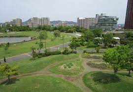 公園　アイランドシティ中央公園（公園）まで2585m