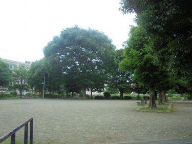 公園　沢田公園（公園）まで1310m