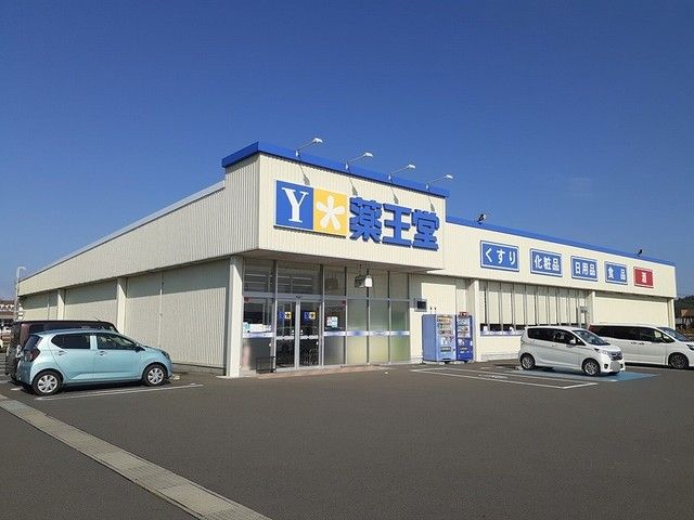 ドラックストア　薬王堂　花泉桶津店（ドラッグストア）まで800m