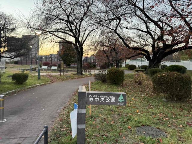 公園　寿中央公園（公園）まで695m
