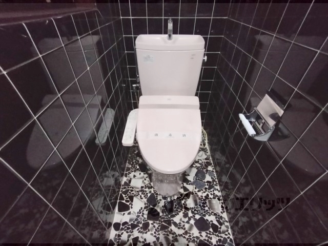 近鉄奈良線 菖蒲池駅 徒歩11分 2階建 築49年のトイレ写真