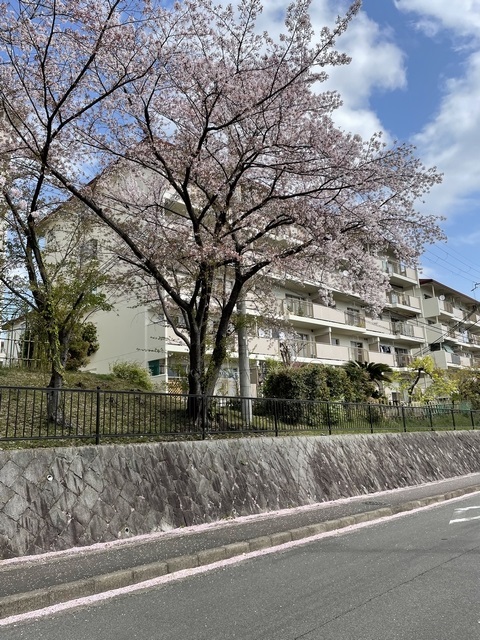 境谷西第2住宅団地第25号棟