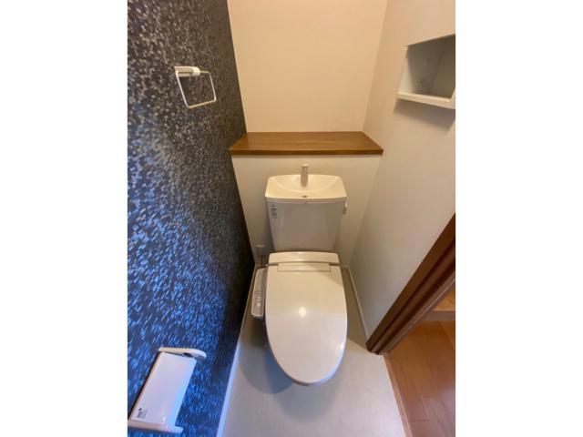 ＪＲ片町線 河内磐船駅 徒歩14分 2階建 築12年のトイレ写真