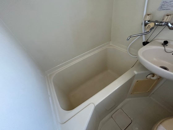 バス・シャワールーム　※別号室のお写真です。