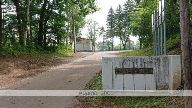 小学校　稲田小学校（小学校）まで3105m