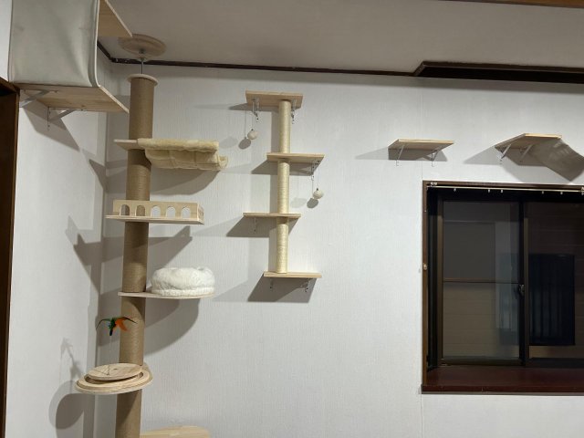 居室・リビング　珍しい犬猫大歓迎物件！