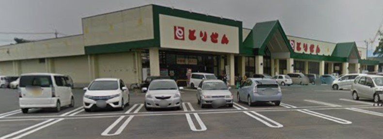 スーパー　とりせん岩井店（スーパー）まで2010m