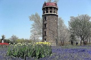 公園　百合が原公園（公園）まで1800m