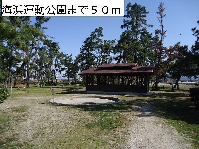 公園　海浜運動公園（公園）まで50m
