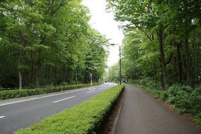 公園　相模原緑道緑地（公園）まで447m