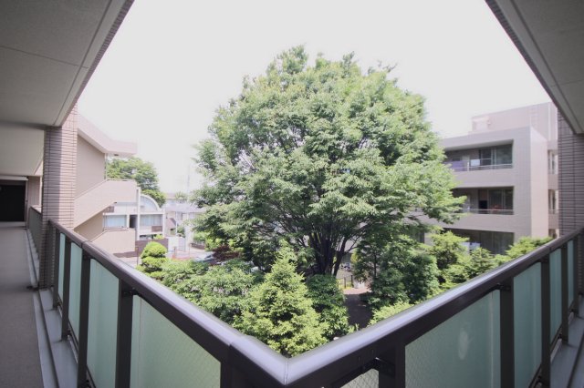 眺望　別部屋参考写真