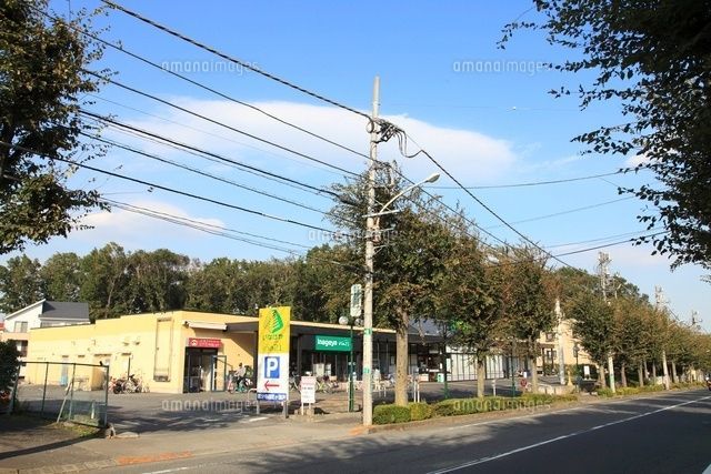 スーパー　いなげや国分寺西恋ケ窪店（スーパー）まで1465m