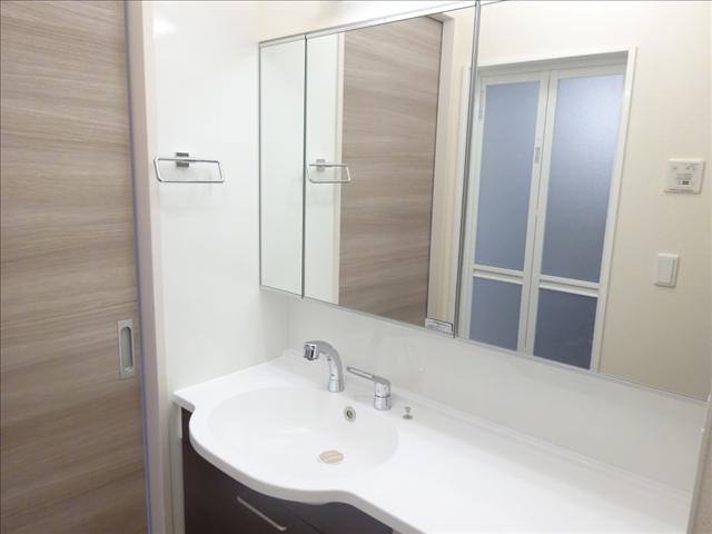 洗面設備　シャワー付きの洗面化粧台。