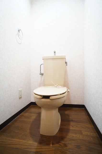 トイレ　参考写真（当建物別部屋のものです）