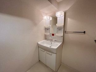洗面設備　※写真は別号室です。