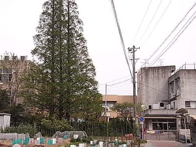 小学校　吉浜小学校（小学校）まで170m