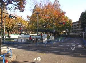 公園　板橋交通公園（公園）まで290m