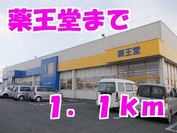 ドラックストア　薬王堂（ドラッグストア）まで1100m