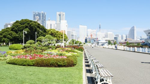 公園　山下公園（公園）まで176m