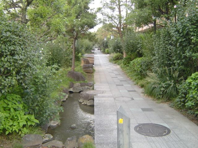 公園　緑道（公園）まで80m