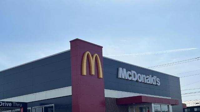 その他　マクドナルド野木中央通り店（その他）まで300m