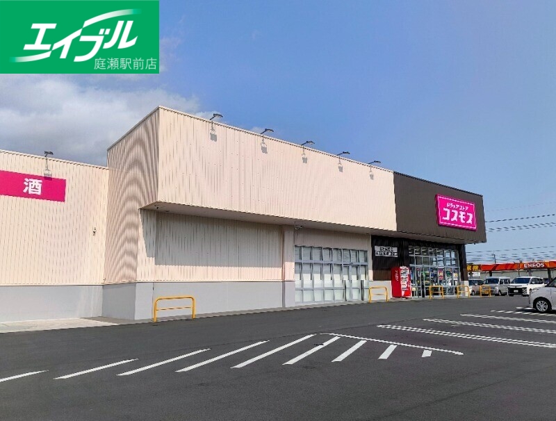 ドラックストア　コスモス総社真壁店（ドラッグストア）まで738m