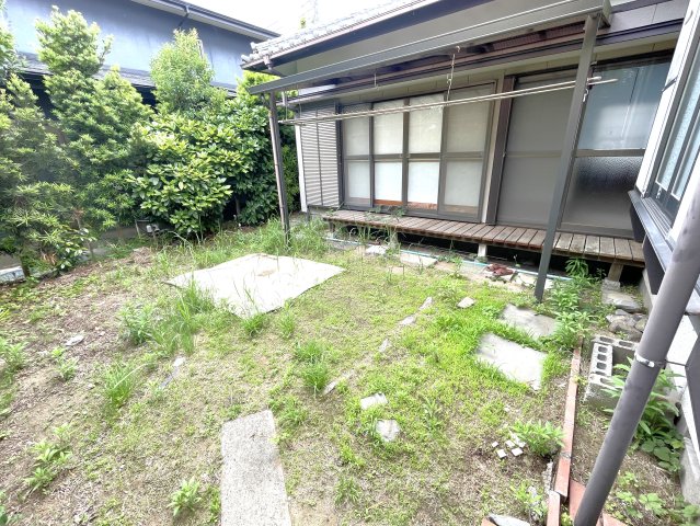 庭