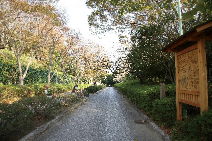 公園　浜松城公園（公園）まで321m