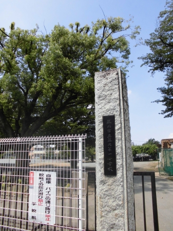 小学校　藤岡市立藤岡第一小学校（小学校）まで780m