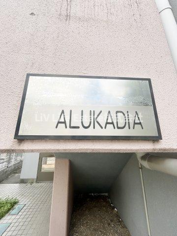 アルカディアのその他写真