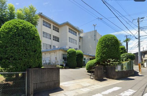 小学校　松戸市立松ケ丘小学校（小学校）まで736m