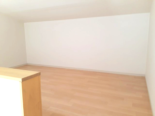 その他　ロフト※他号室写真です