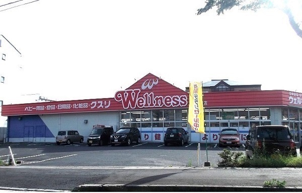 ドラックストア　ウェルネス古志原店（ドラッグストア）まで300m