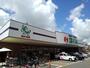 スーパー　鮮ど市場元宮店（スーパー）まで193m