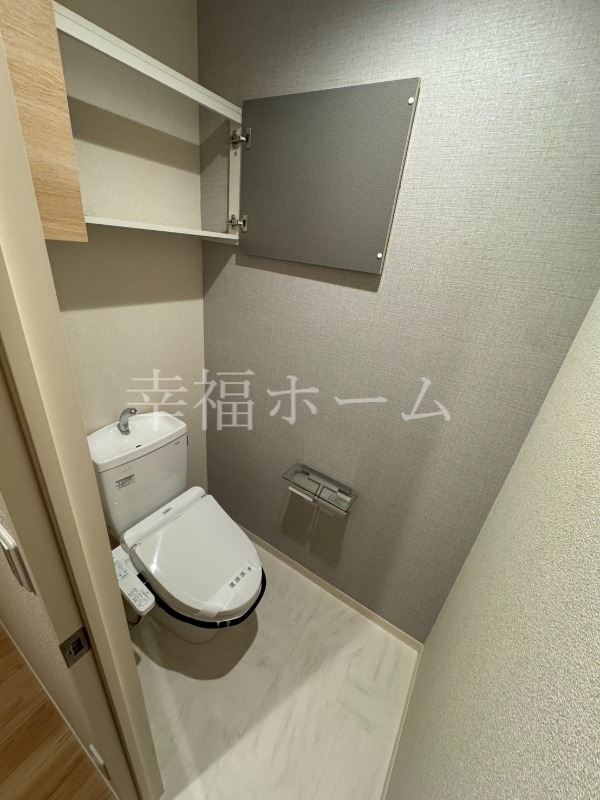 シンワマンションeinsのトイレ写真